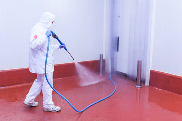 Best Restaurant Pressure Washing  in Fayetteville, GA